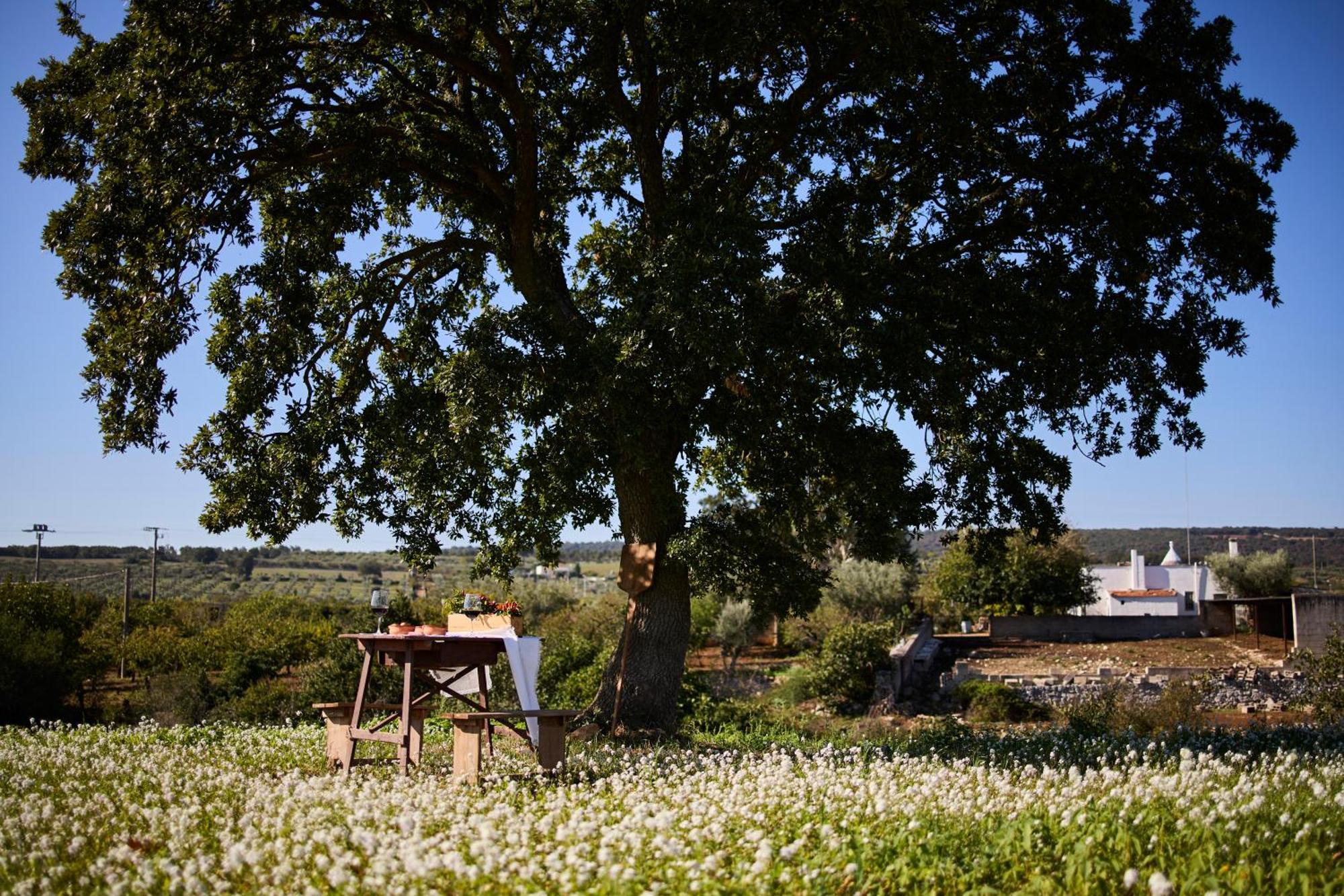 Tenuta Giotta Villa Castellana Grotte Exterior photo